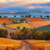 MONTEFALCO 1